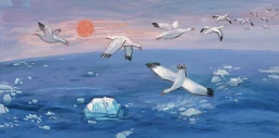 The Story of Birds and Icebergs