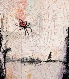 Pin e il ragno / Pin and Spider